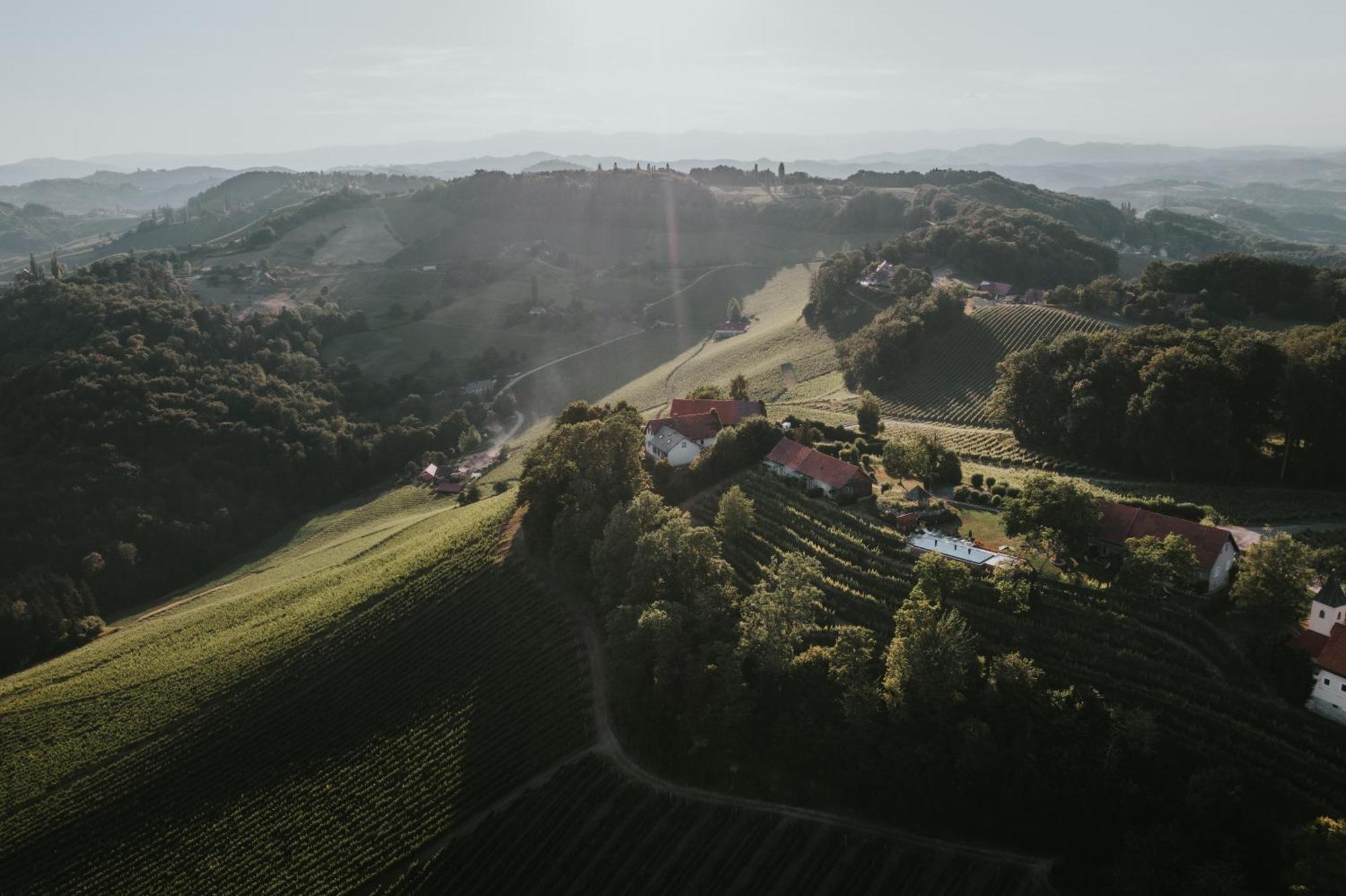 Winzarei, Weingut Tement Villa Berghausen Exteriör bild